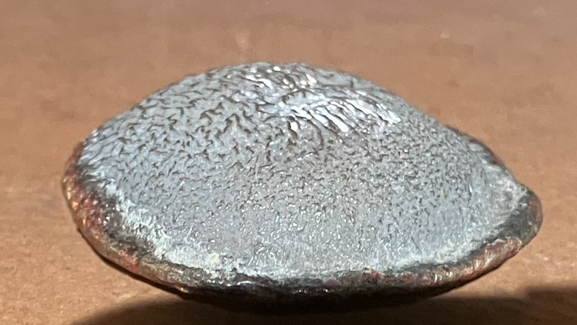 moneta a forma di ostrica (moneta) - ambito siamese (inizio/ metà XVII-XVIII)