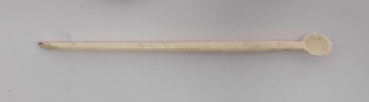 SINGOLO OGGETTO, PERIODIZZAZIONI/ STORIA/ Età antica/ Età romana/ Età romana imperiale