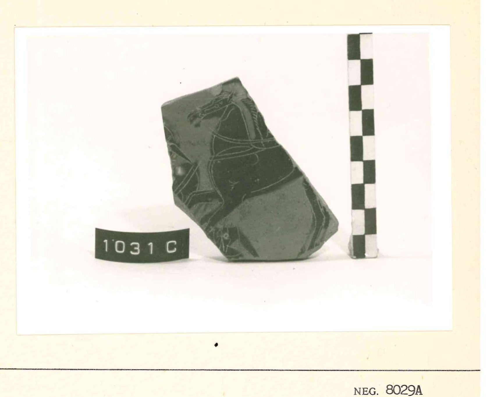 guerrieri armati, cavalli (vaso, Hydria) - Fabbrica attica (ultimo quarto SECOLI/ VI a.C)