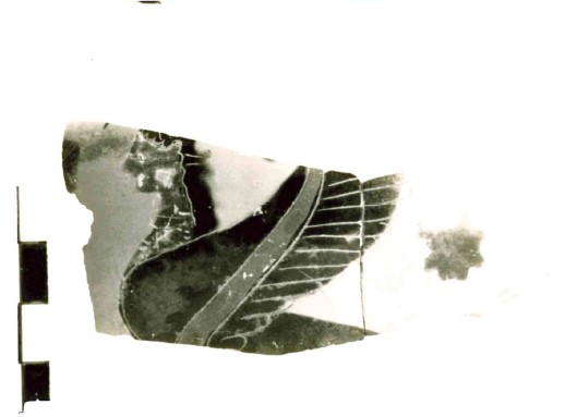 Sfinge (hydria/ parete) (SECOLI/ VI a.C)