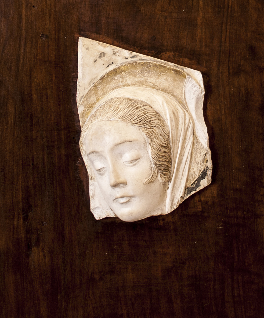 Testa della vergine, frammento in pietra di una testa di Madonna (scultura, frammento) di Rosselli Domenico (attribuito) - ambito fiorentino (metà sec. XV)