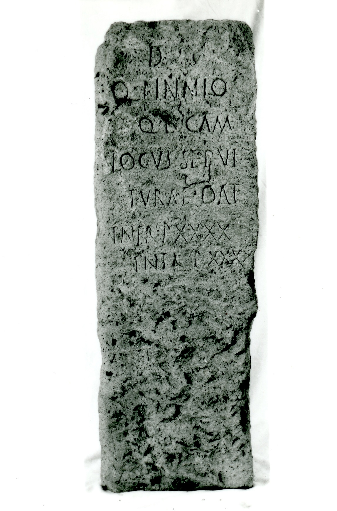 stele, (Iscrizione funeraria) Q. Pinnius Q.l - bottega lapidaria adriese (fine SECOLI/ I)