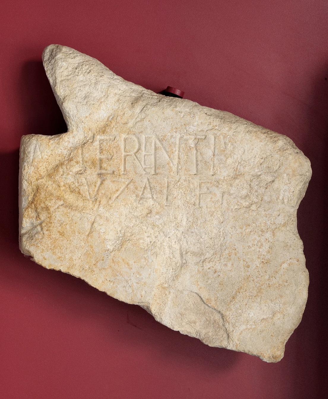 stele/ funeraria, a disco, (Iscrizione funeraria) M'. Terentius Fuzae fi - bottega lapidaria adriese (sec. I a.C)