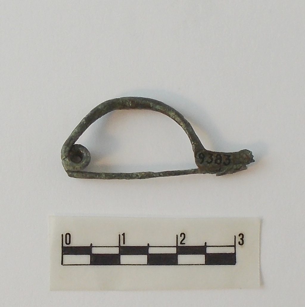 fibula, certosa - ambito etrusco (fine/ inizio secc. VI/ V a.C)
