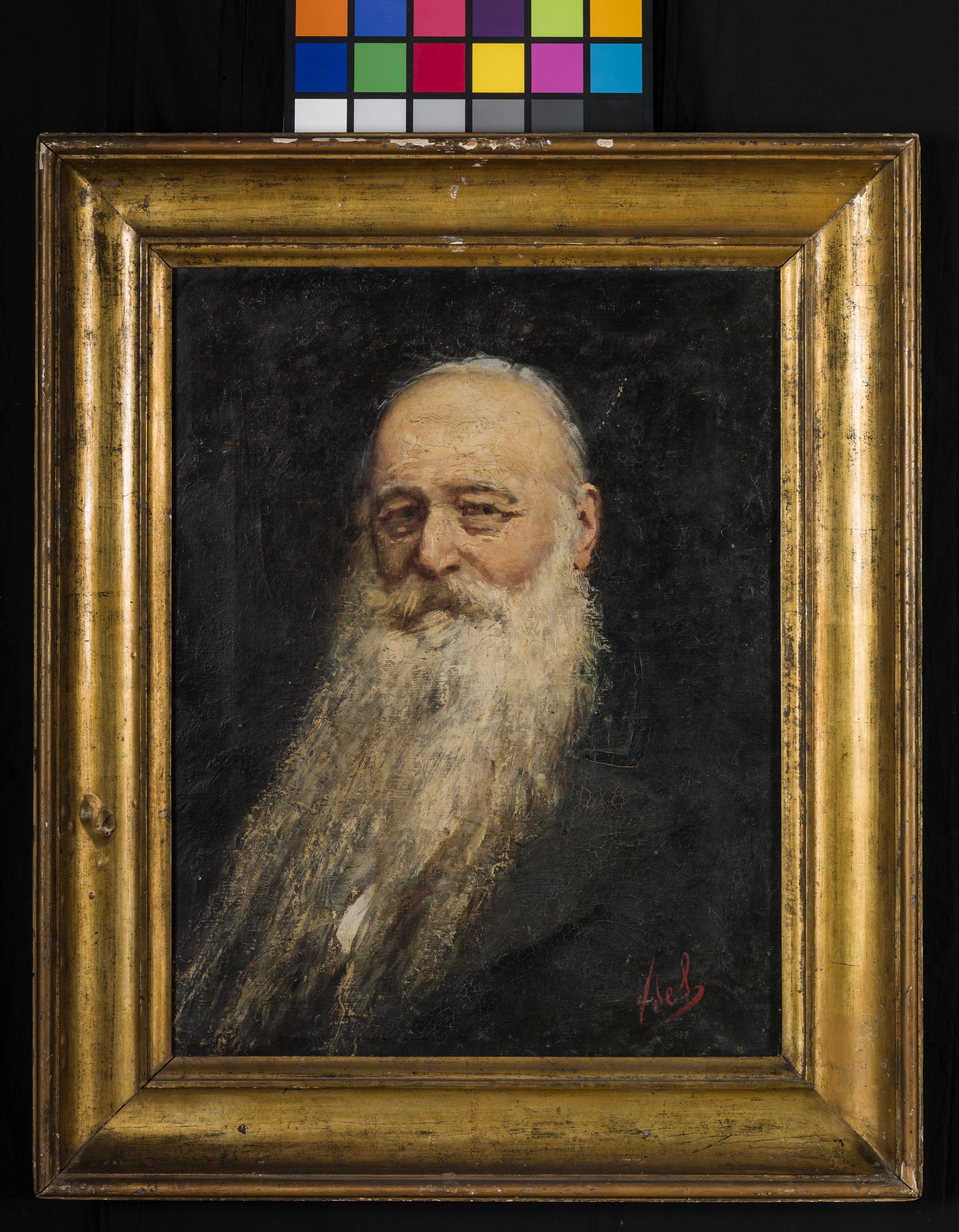 Ritratto di Sebastiano Tecchio, busto ritratto di vecchio uomo con barba bianca (dipinto, opera isolata) di De Stefani Vincenzo (sec. XIX)
