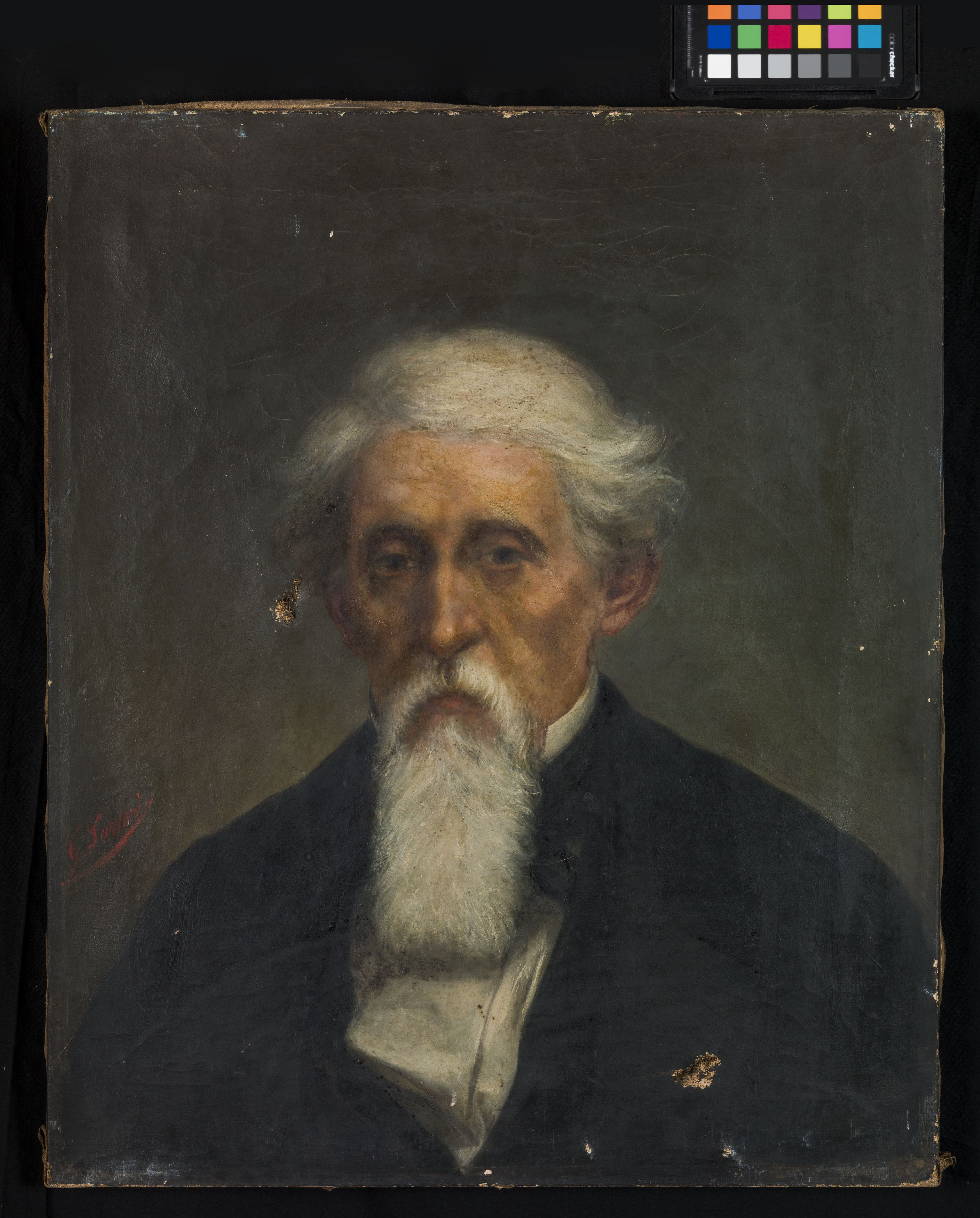 Ritratto del signor Zamprini, busto ritratto maschile con barba bianca (dipinto, opera isolata) di Sartori Giulio (sec. XIX)