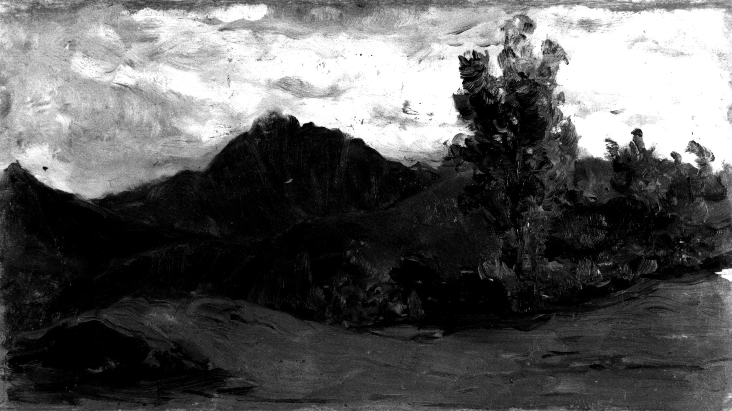 Paesaggio di montagna, paesaggio montano con prato, casa e alberi (dipinto, opera isolata) di Avanzi Vittorio (sec. XIX)