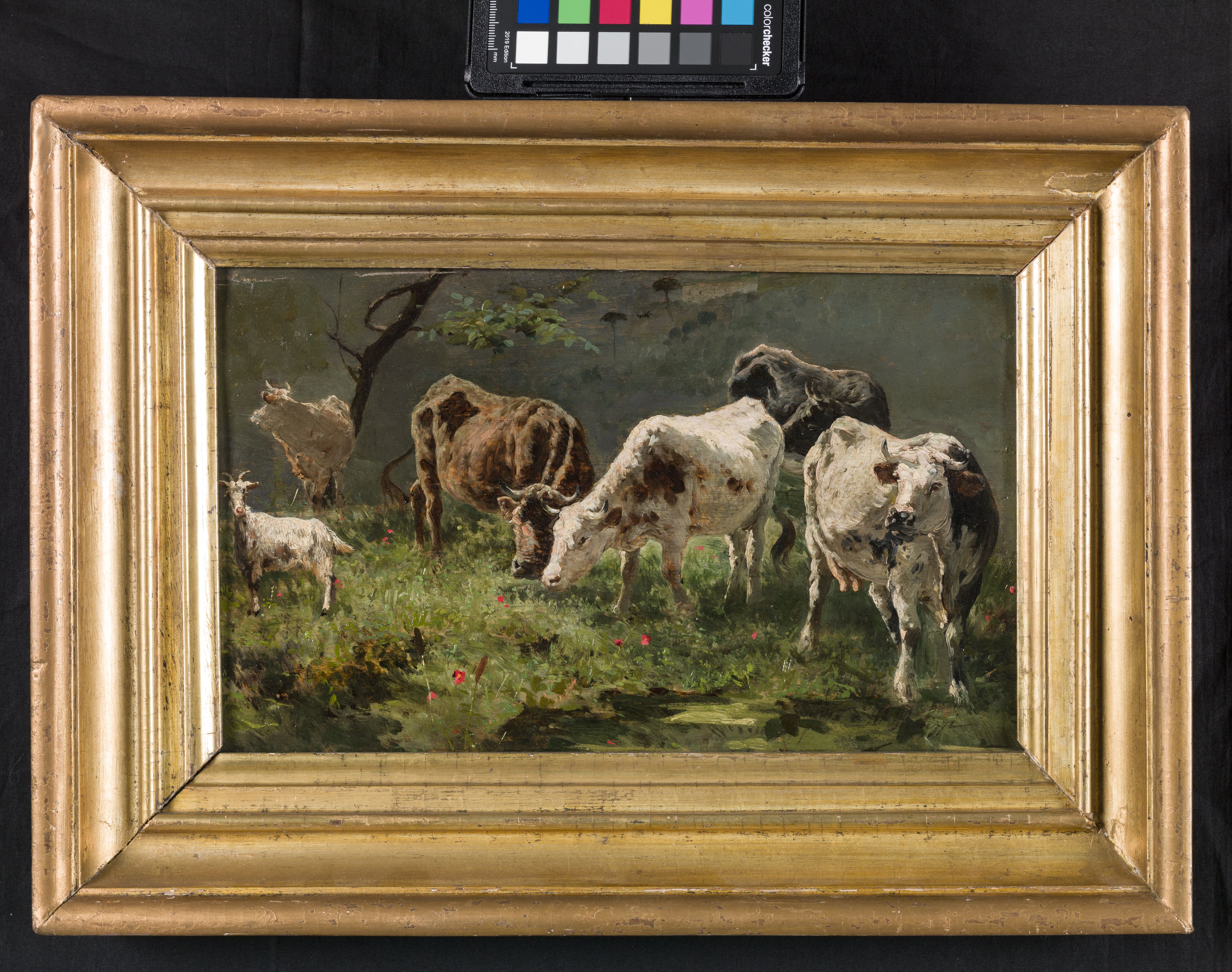 Animali al pascolo, paesaggio con cinque buoi e una capra (dipinto, opera isolata) di Palizzi Giuseppe, Palizzi Filippo (sec. XIX)