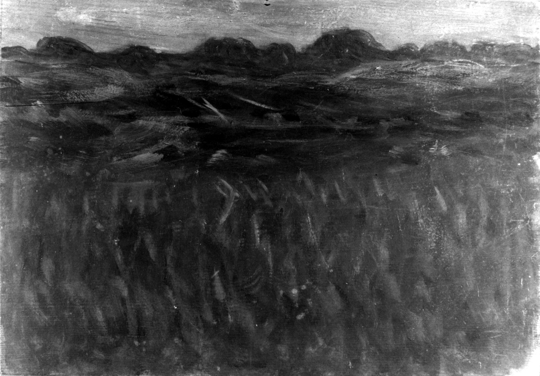 Paesaggio [Tramonto], paesaggio con erba e colline (dipinto, opera isolata) di Dall'Oca Bianca Angelo (sec. XX)