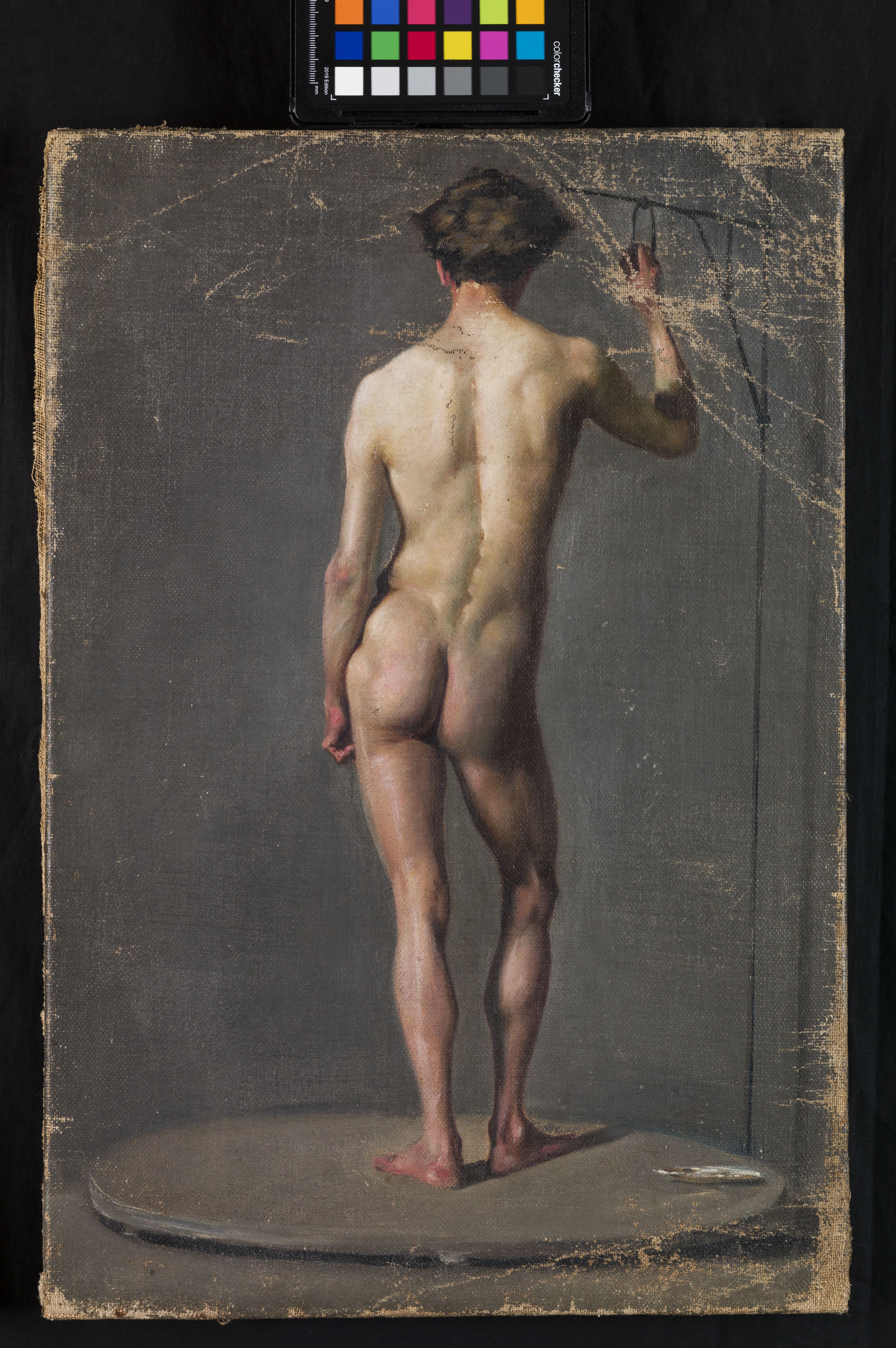 Nudo, studio di nudo maschile di schiena (dipinto, opera isolata) di autore ignoto - ambito veneto (sec. XIX)
