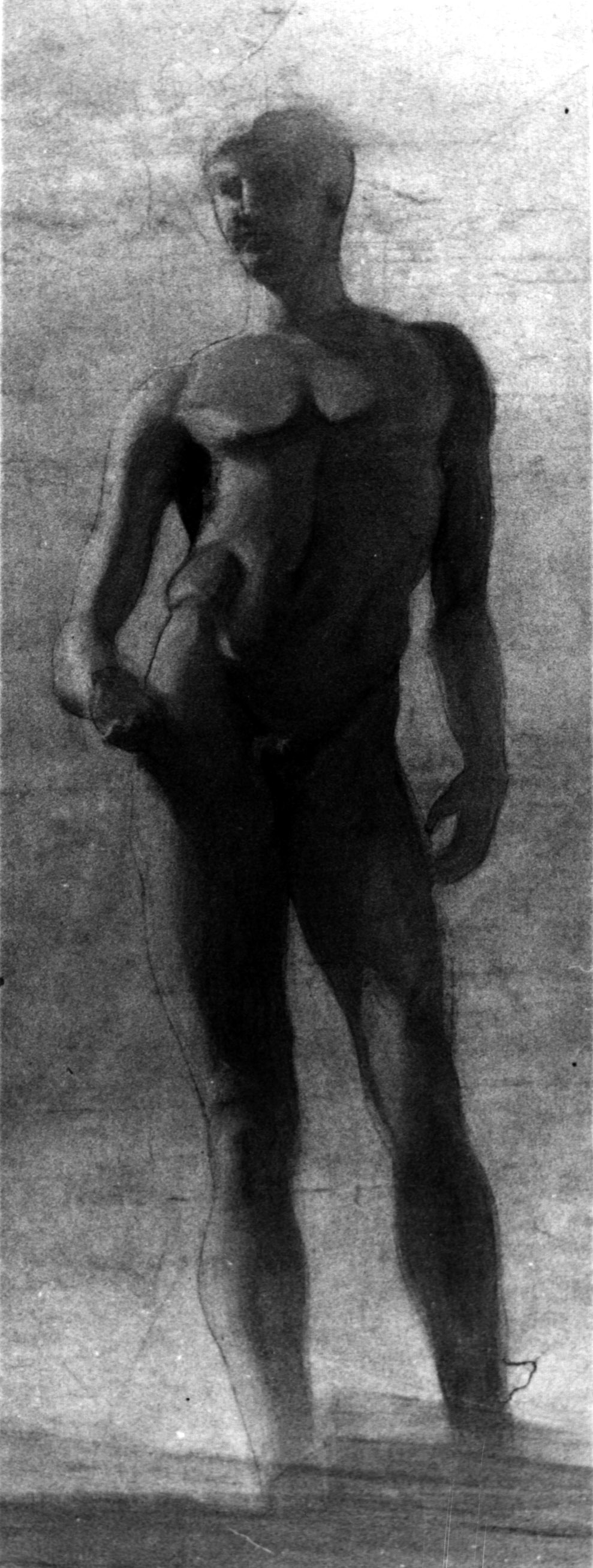 Statua nudo, studio di nudo maschile in piedi da statua (disegno, opera isolata) di Trentini Guido (sec. XX)