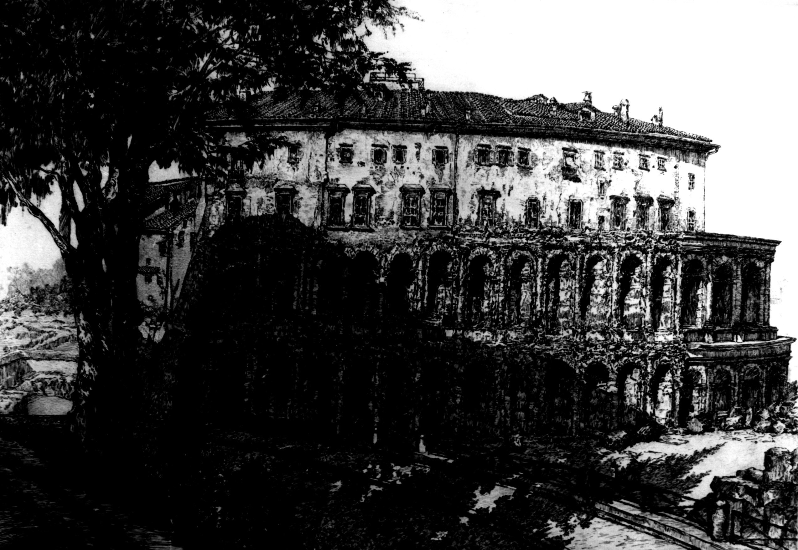 Il Teatro Marcello, veduta di Roma con Teatro di Marcello e albero (stampa) di Broglio Dante (sec. XX)