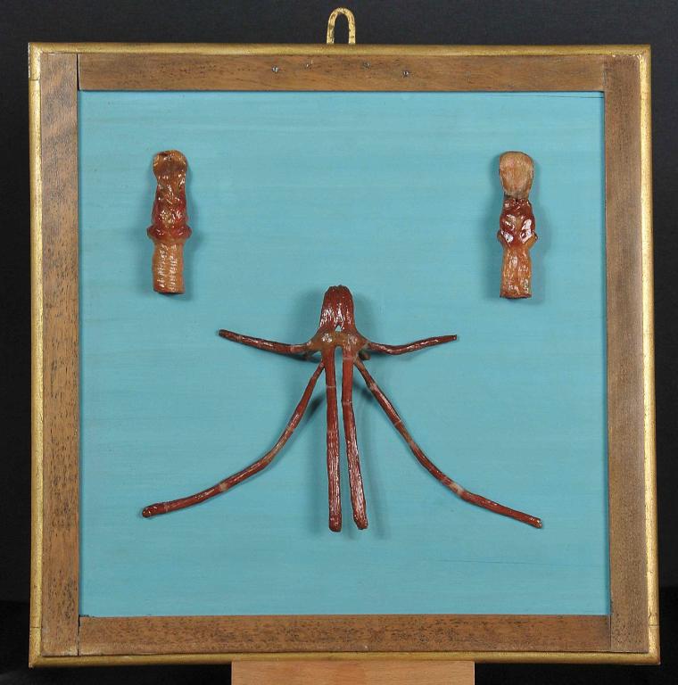 preparato anatomico, muscoli intrinseci della laringe e ioidei di Lelli Ercole (e aiuti) (sec. XVIII)