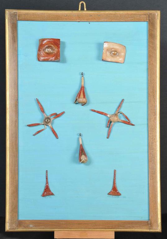 preparato anatomico, muscoli dell'occhio di Lelli Ercole (e aiuti) (sec. XVIII)