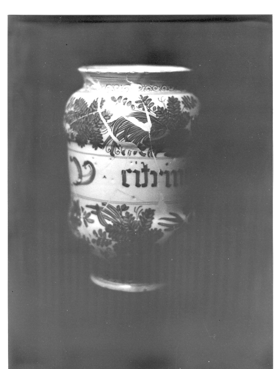 Vaso da farmacia (alberello, opera isolata) - manifattura ligure (XVII)