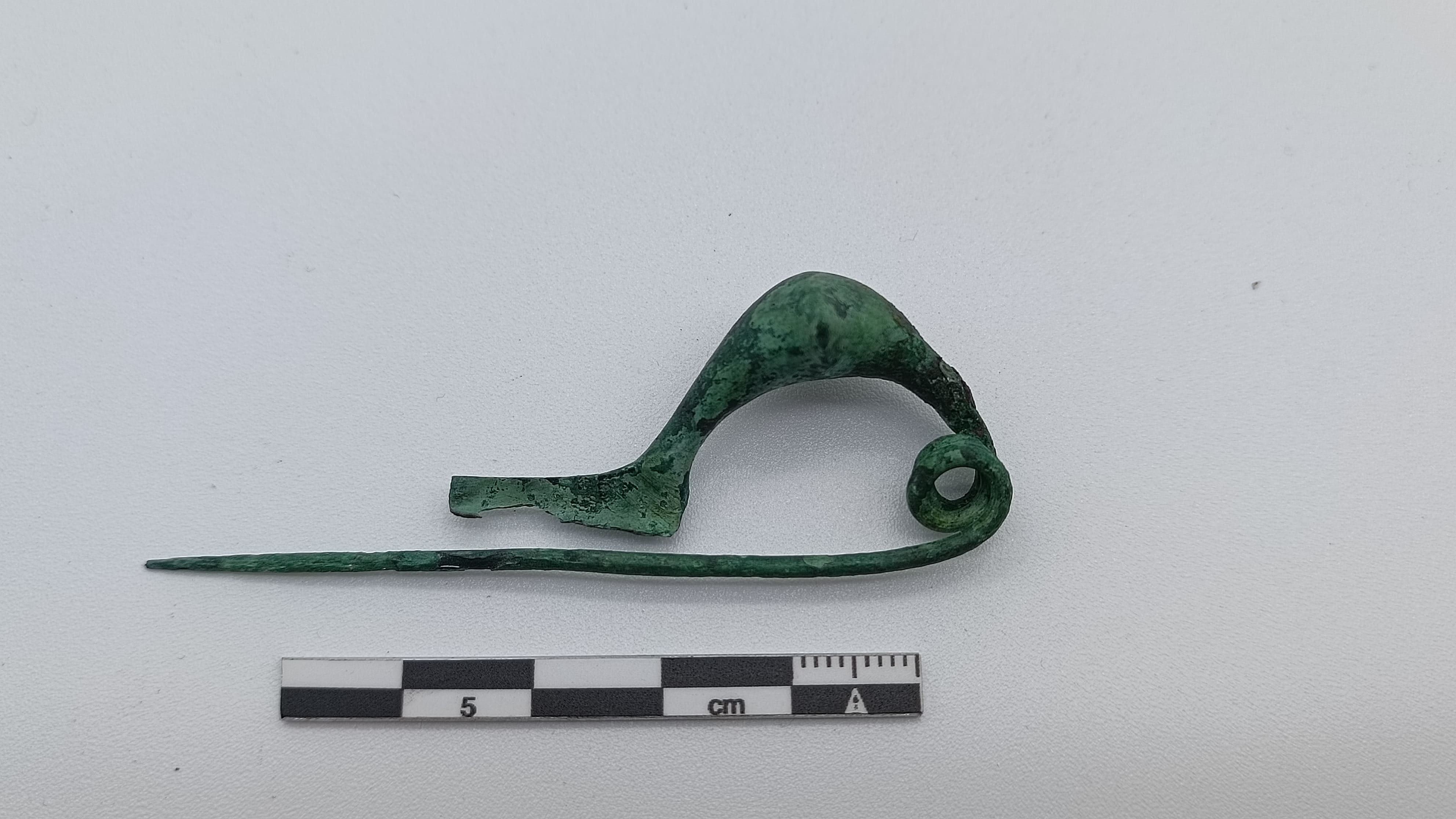 SINGOLO OGGETTO/ fibula, SECOLI/ VIII a.C