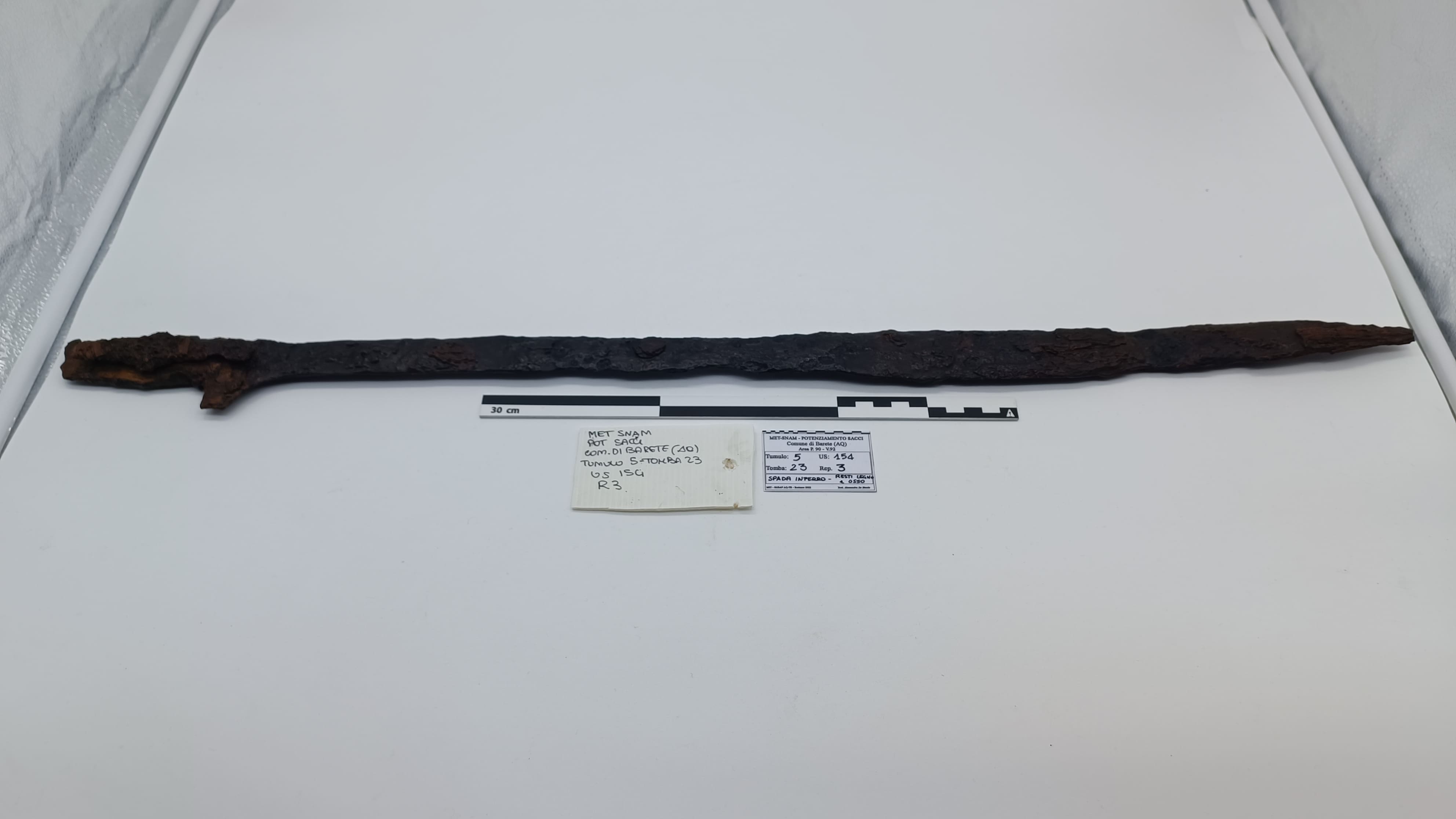 SINGOLO OGGETTO/ spada, SECOLI/ VIII a.C