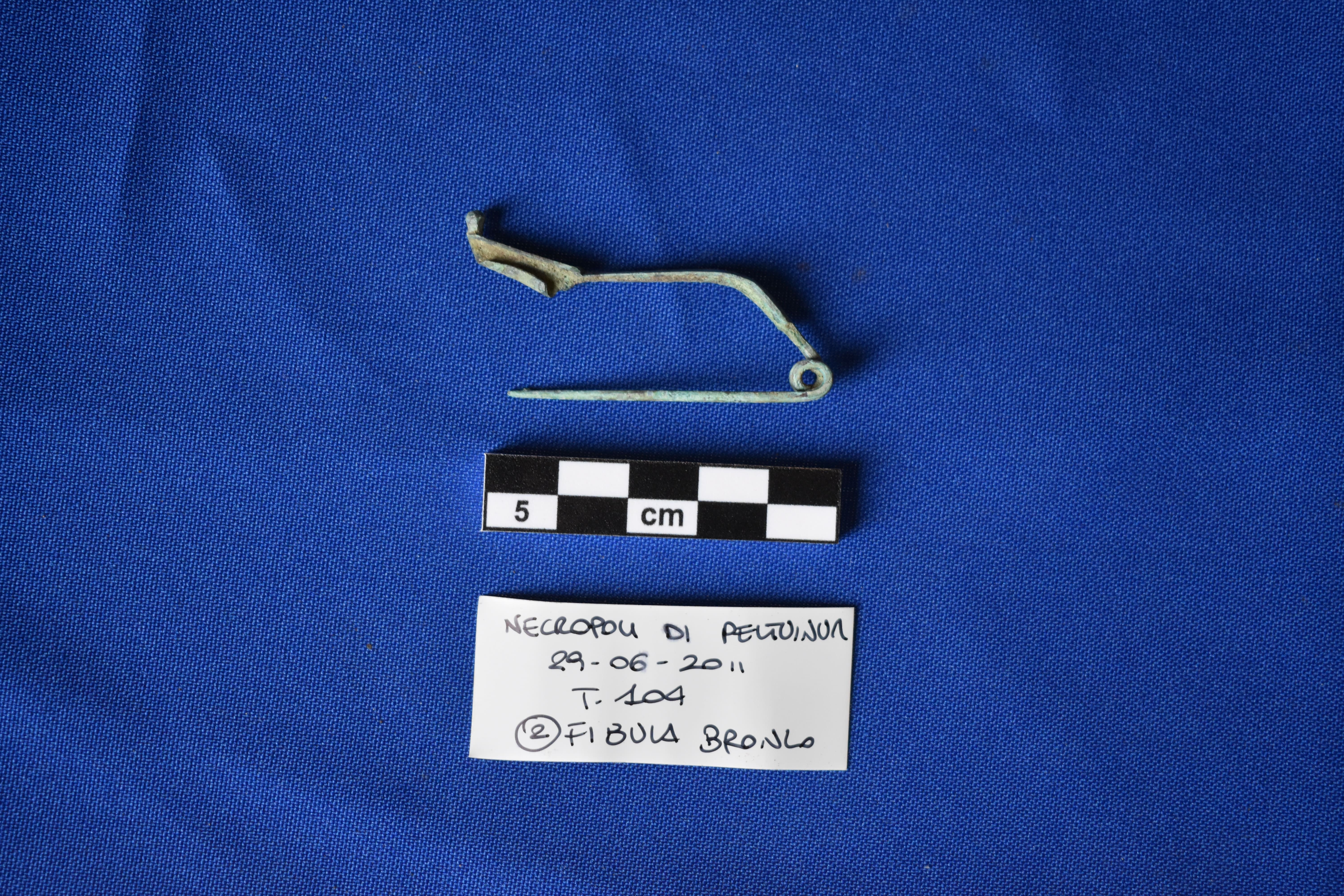 SINGOLO OGGETTO/ fibula, SECOLI/ VI a.C