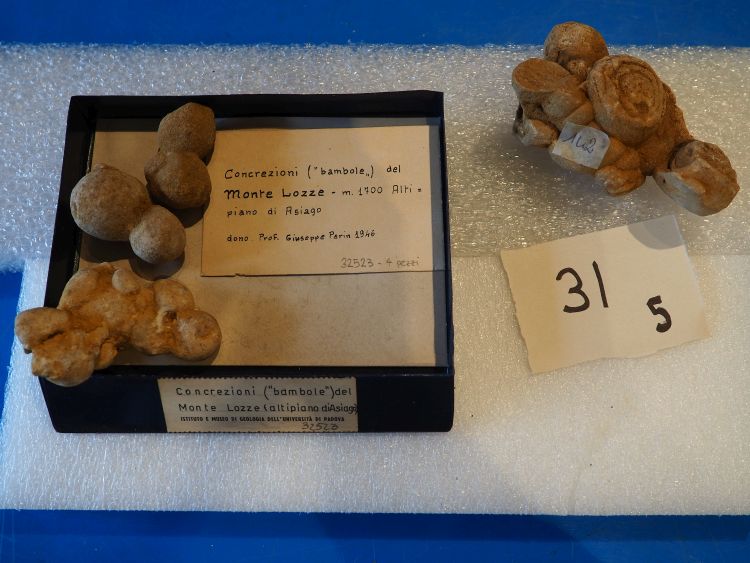 Carbonato di calcio (esemplare)