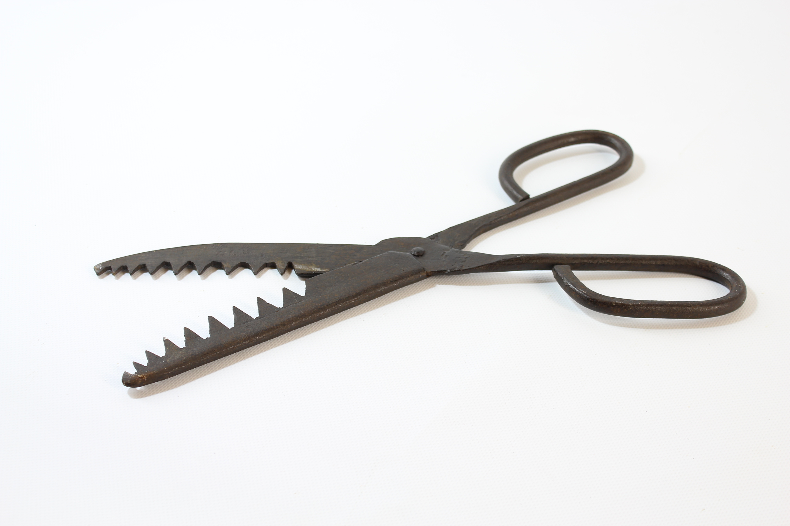 frofighe de ambiddare (forbice, da pesca di anguille, STRUMENTI E ACCESSORI/ AGRO-SILVO-PASTORALI)