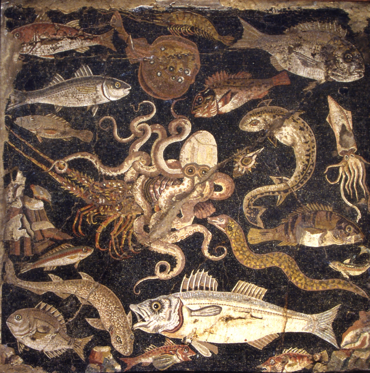 Pesci (mosaico/ pavimentale, emblema) (fine/ inizio SECOLI/ ARCHI DI SECOLI/ II a.C -I a.C)