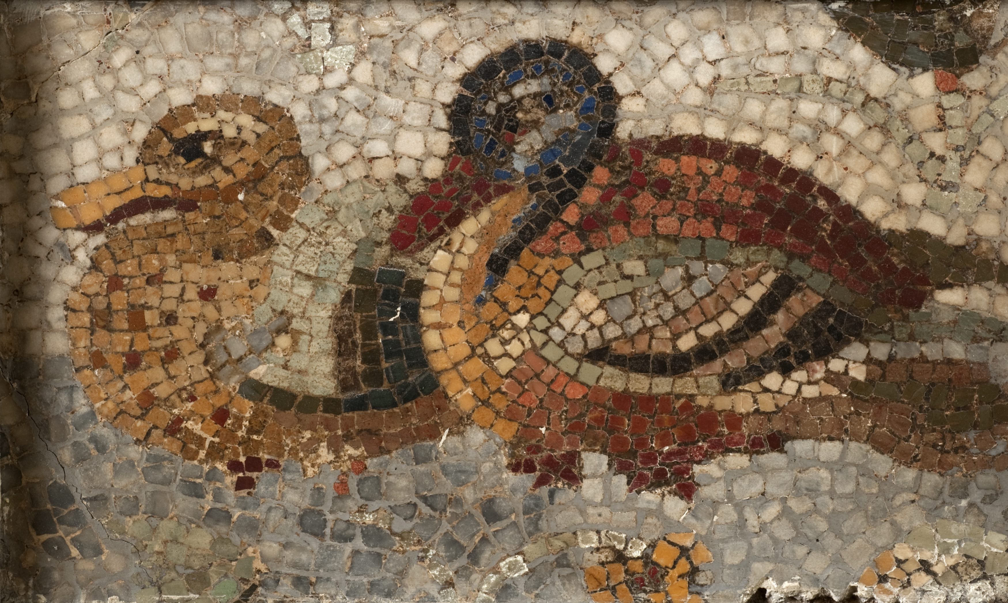 Anatre (mosaico/ pavimentale, policromo/ figurato) (SECOLI/ I)
