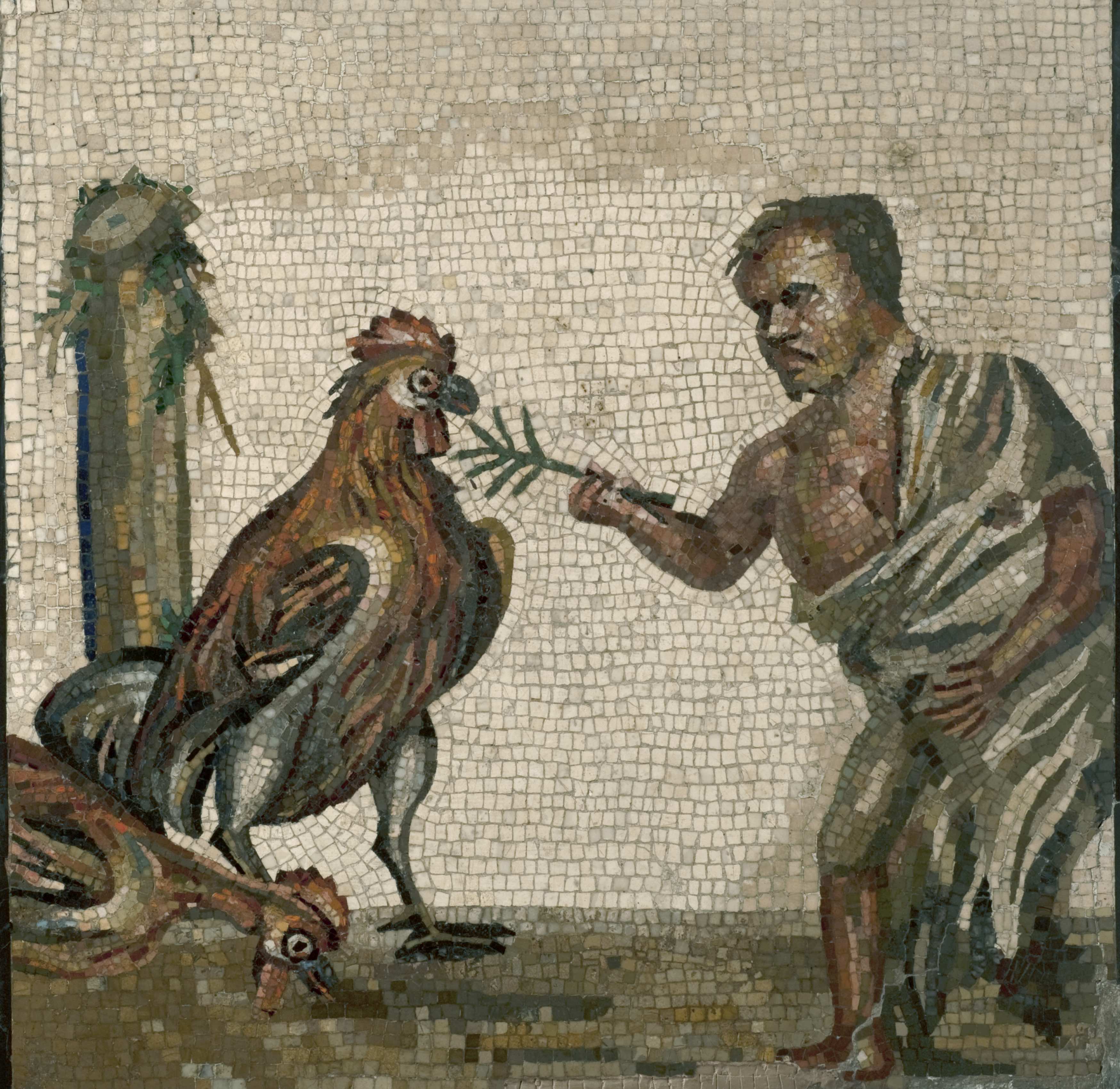 Pigmeo e gallo (mosaico/ pavimentale, policromo/ figurato) (metà SECOLI/ I a.C)