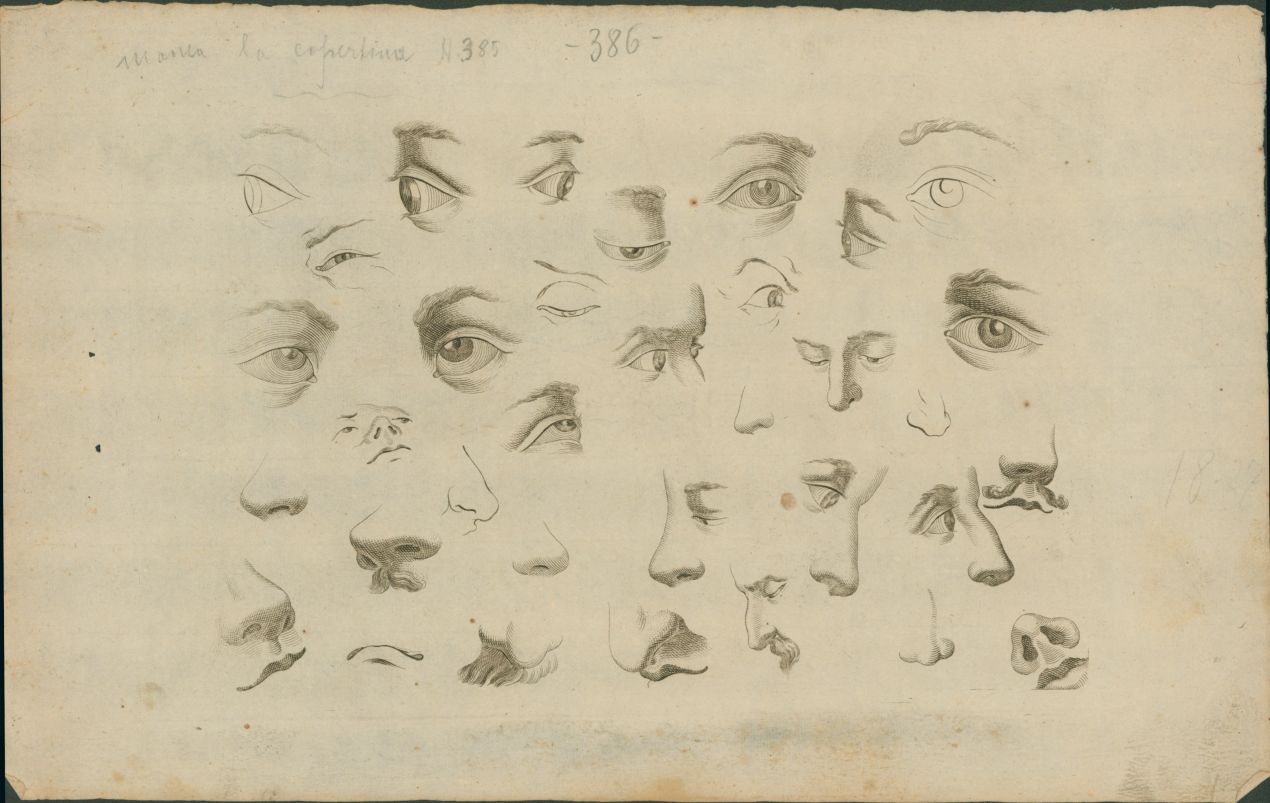 Tavole per artisti (album di stampe) - ambito Italia centro-settentrionale (XVIII/XIX)