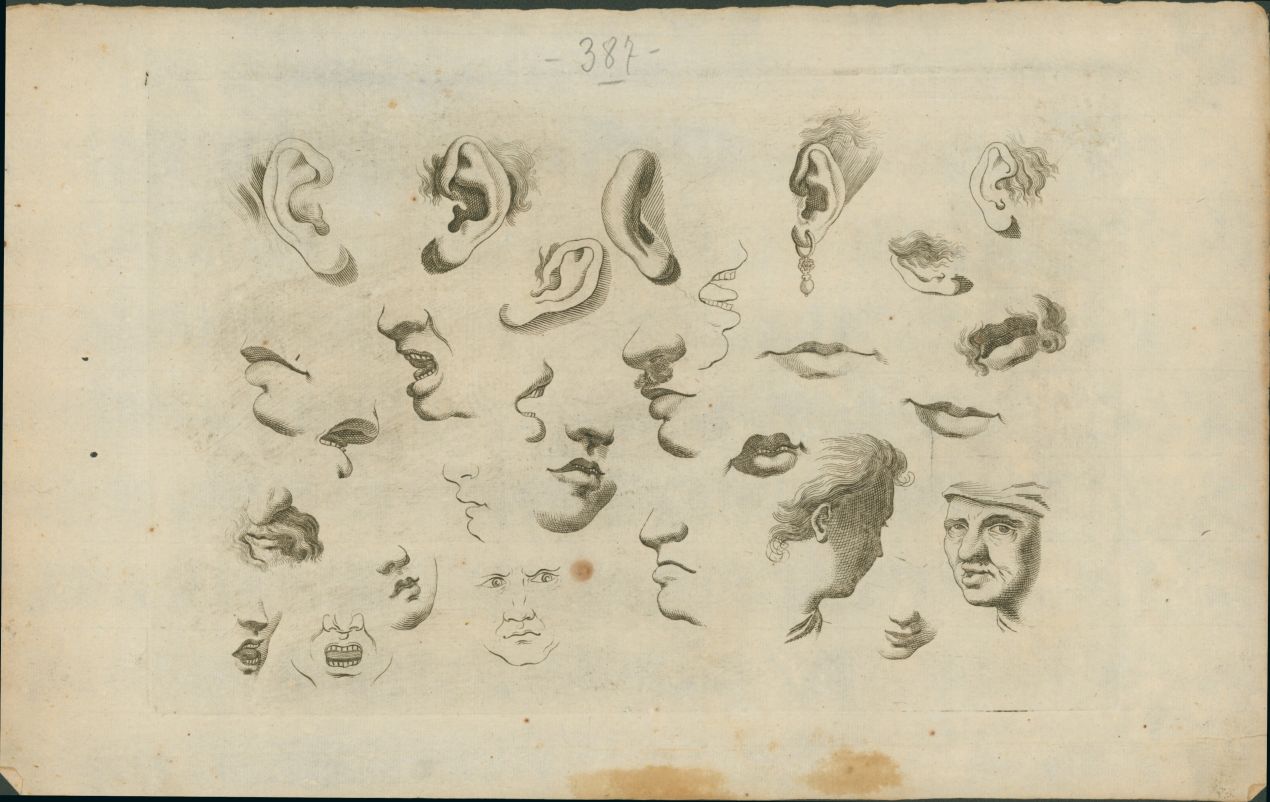 Tavole per artisti - Orecchi e bocche (album di stampe) - ambito Italia centro-settentrionale (XVIII/XIX)