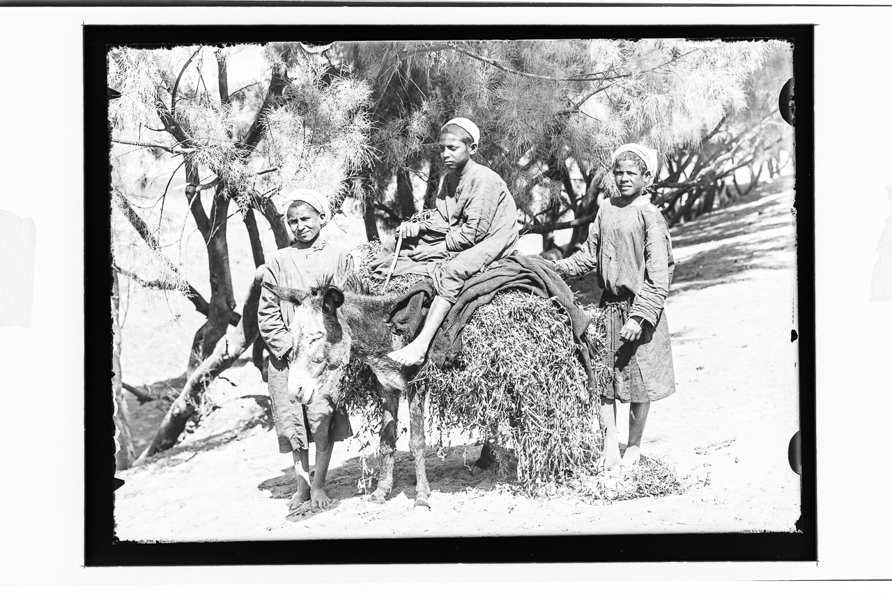 Spedizioni Archeologiche Italiane, Egittologia, Antropologia (negativo) di Marro, Giovanni (attribuito) - Missione Archeologica Italiana in Egitto (prima metà XX)