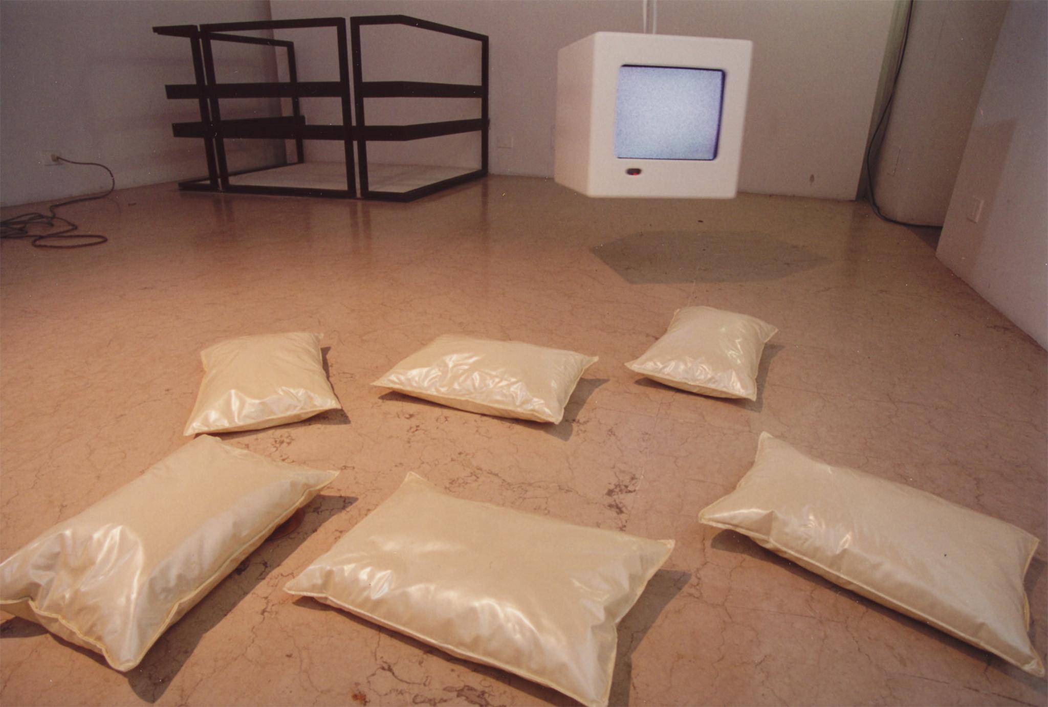 Passi (installazione) di Rossi Sara (sec. XX)