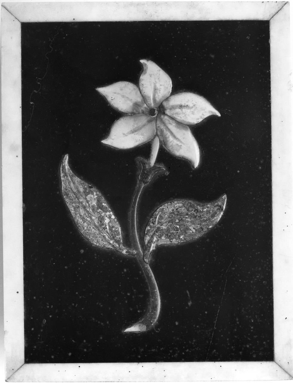 fiore (formella) - manifattura granducale (ultimo quarto XVII)