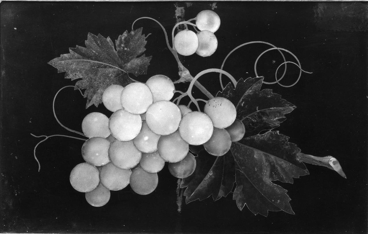 grappolo d'uva (formella) - manifattura fiorentina (XIX)