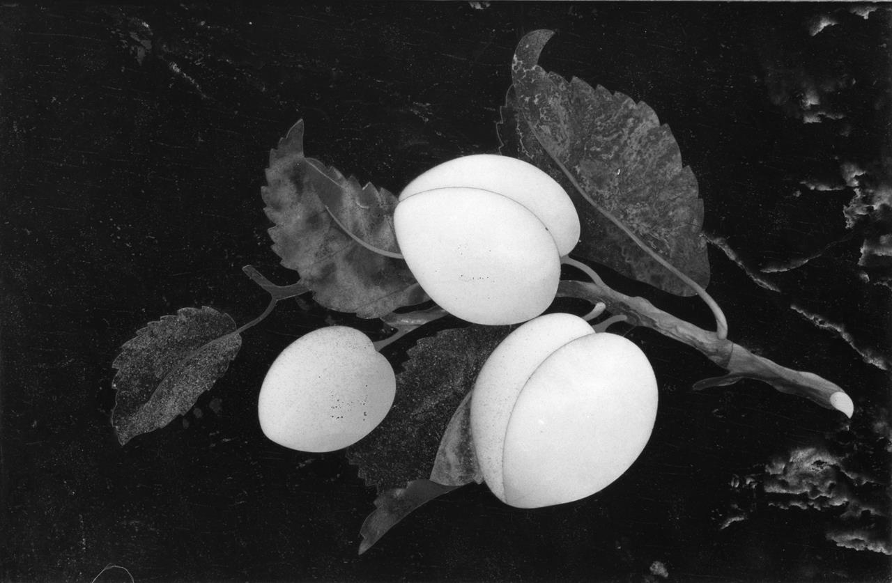 susine (formella) - manifattura fiorentina (XIX)