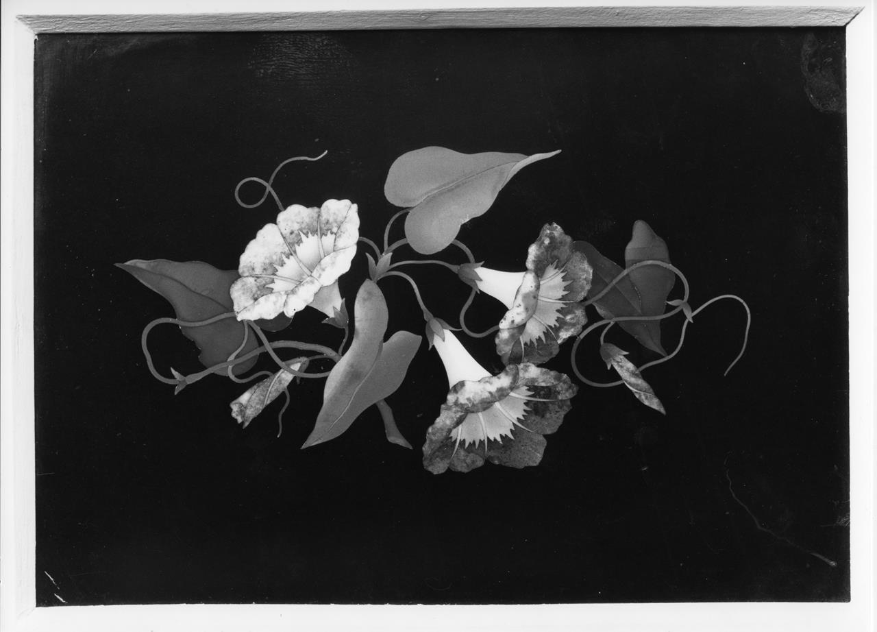 Convolvoli (formella) - manifattura fiorentina (XIX)