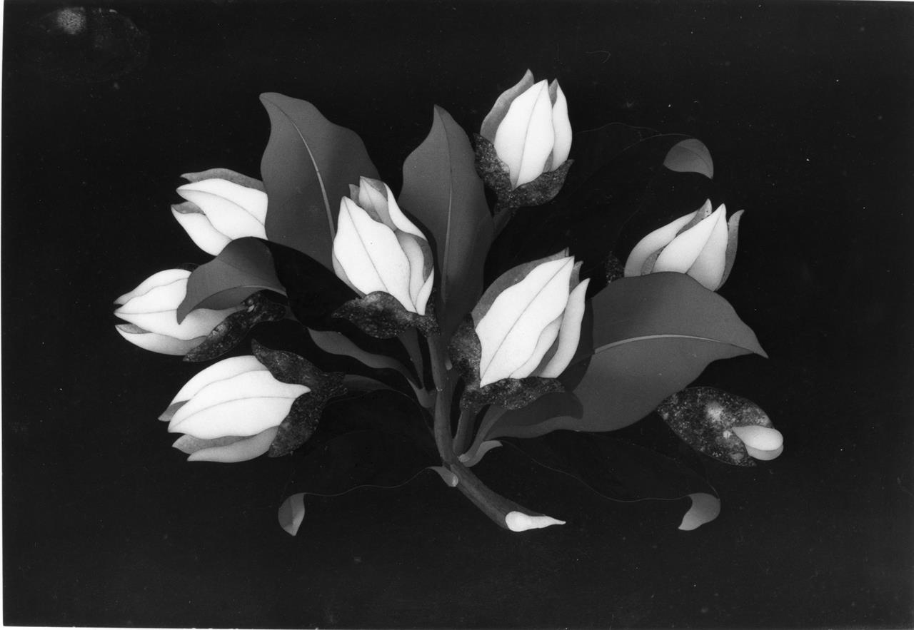 Boccioli di rosa (fermacarte) - manifattura fiorentina (XIX)