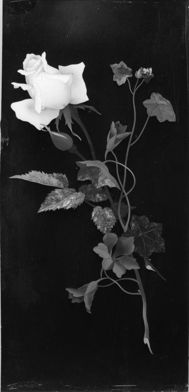 Rose e tropeoli (formella, coppia) - manifattura fiorentina (XIX)