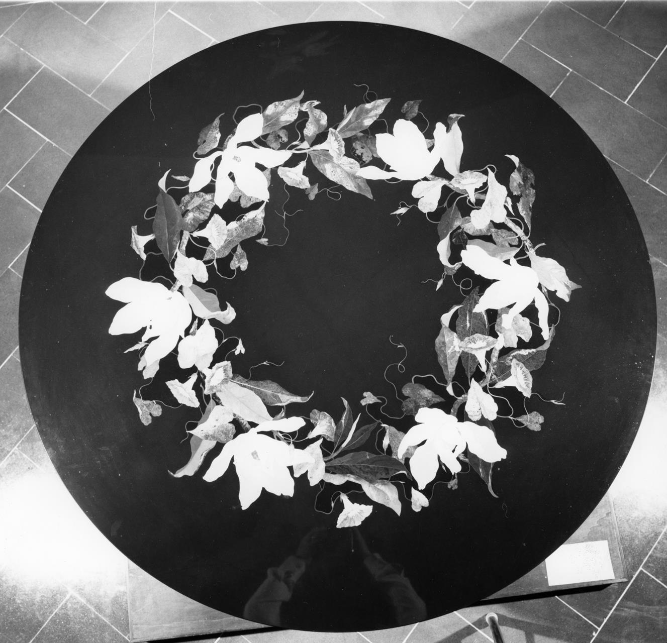 Magnolia e convolvoli (tavolo) - manifattura fiorentina (XIX)