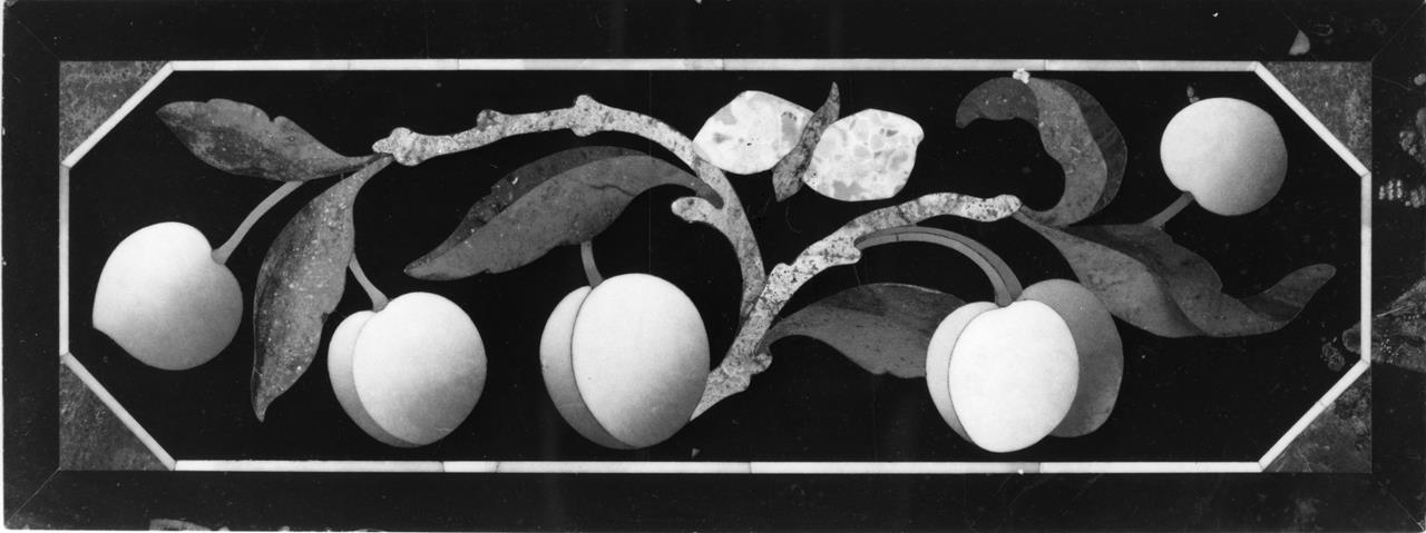 Frutta e farfalla (formella) - manifattura granducale (fine/ inizio XVII-XVIII)