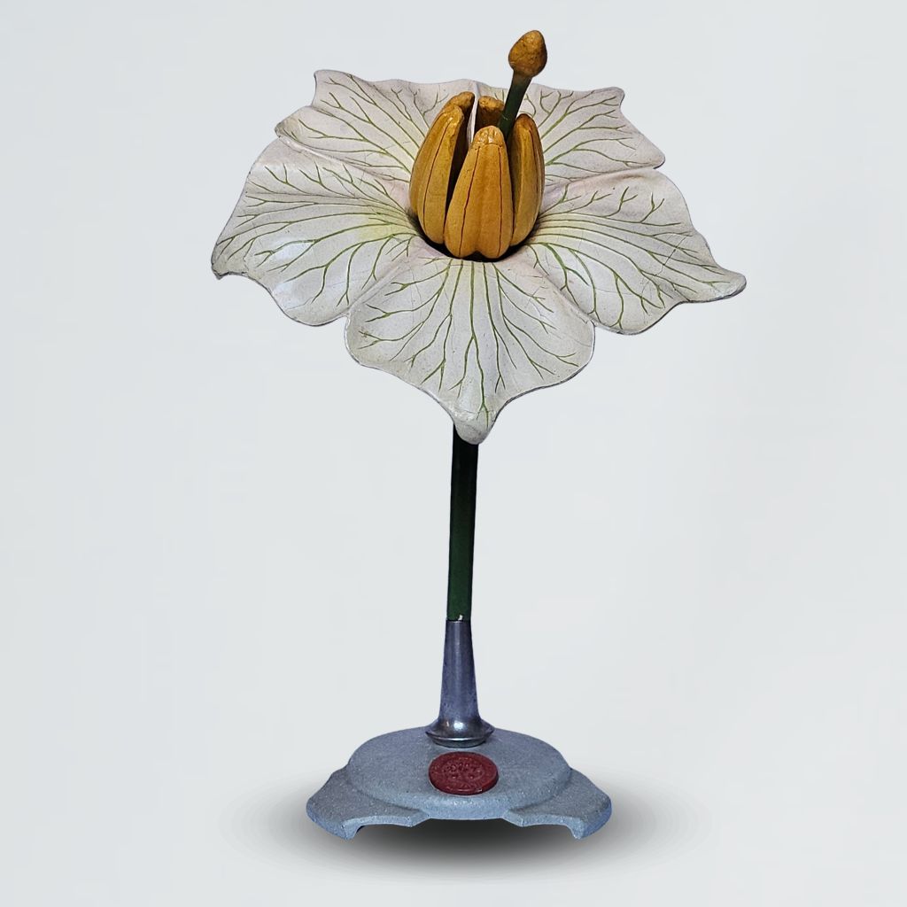 modello didattico botanico, fiore di patata di Produzione scientifica Paravia - manifattura italiana (anni trenta XX)