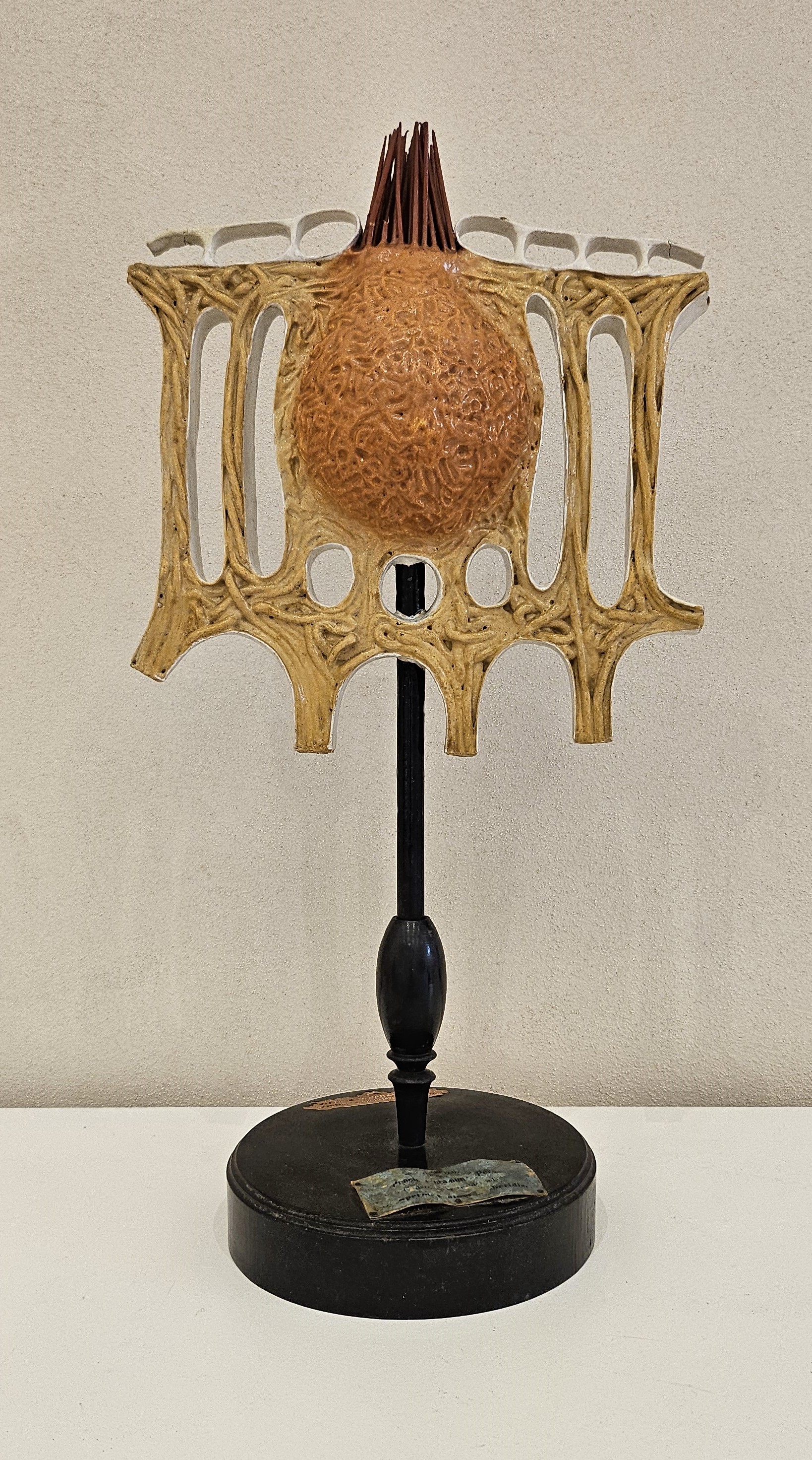 modello didattico botanico, spermogonio di Produzione scientifica Paravia, Robert & Reinhold Brendel - manifattura tedesca (primo quarto XX)