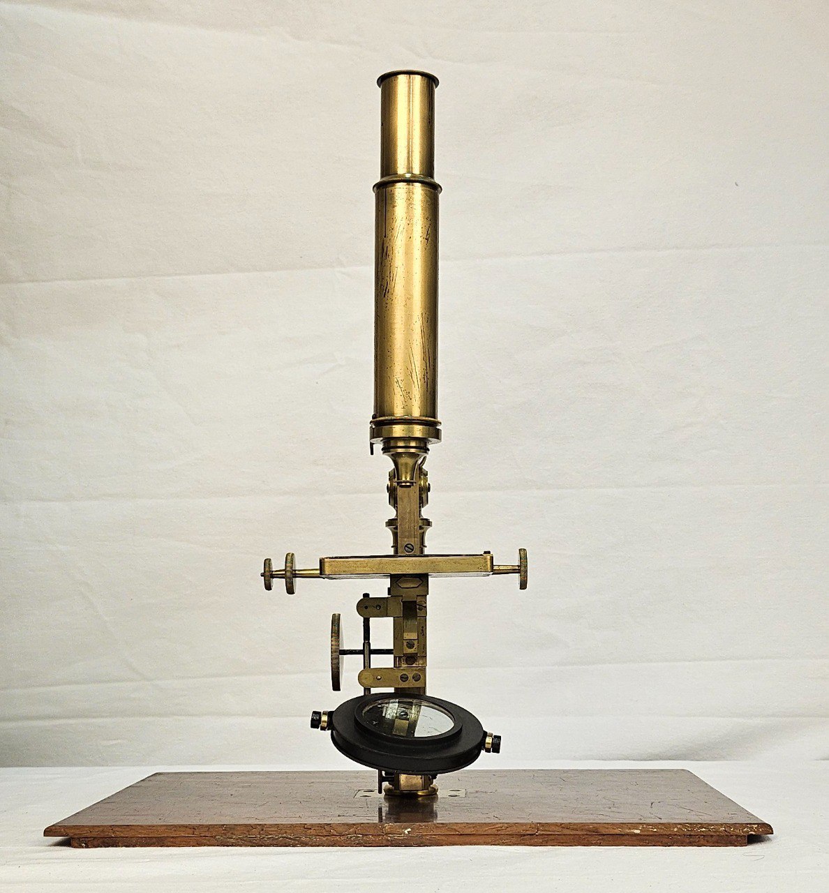 microscopio (fine XIX)