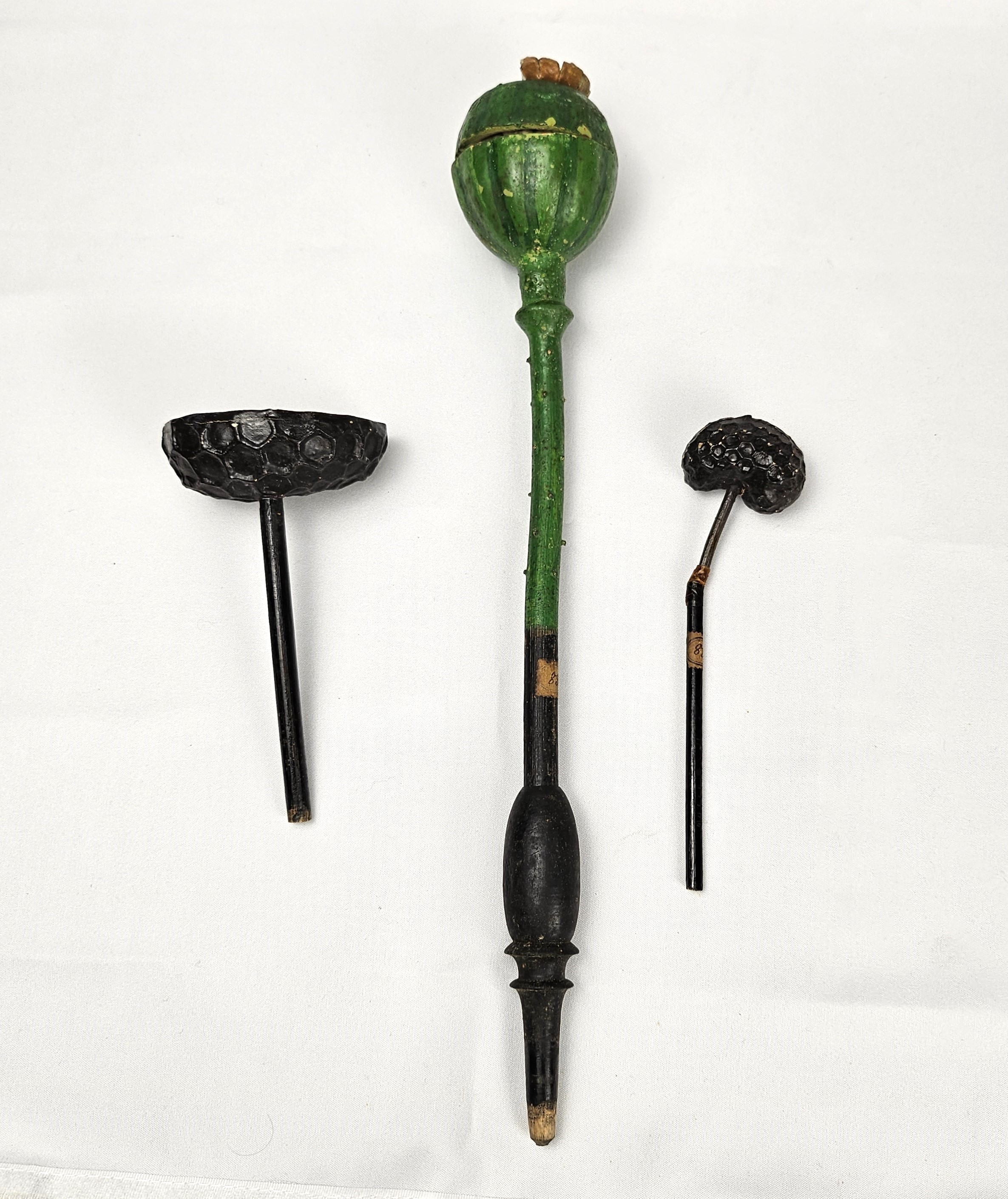 modello didattico botanico, papavero di Robert & Reinhold Brendel - manifattura tedesca (fine/ inizio XIX / XX)