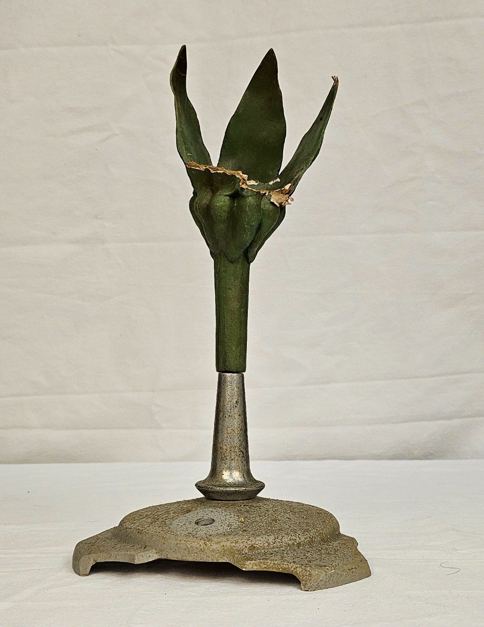 modello didattico botanico, campanula di Produzione scientifica Paravia - manifattura italiana (anni trenta XX)