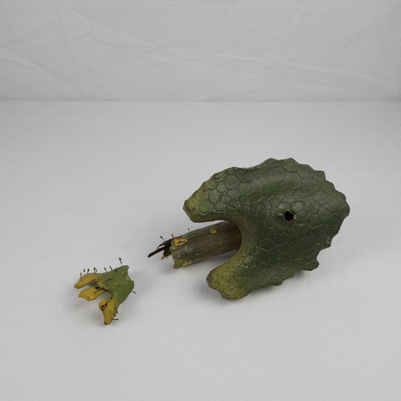 modello didattico botanico, Pteridofita di Robert & Reinhold Brendel - manifattura tedesca (fine/ inizio XIX / XX)