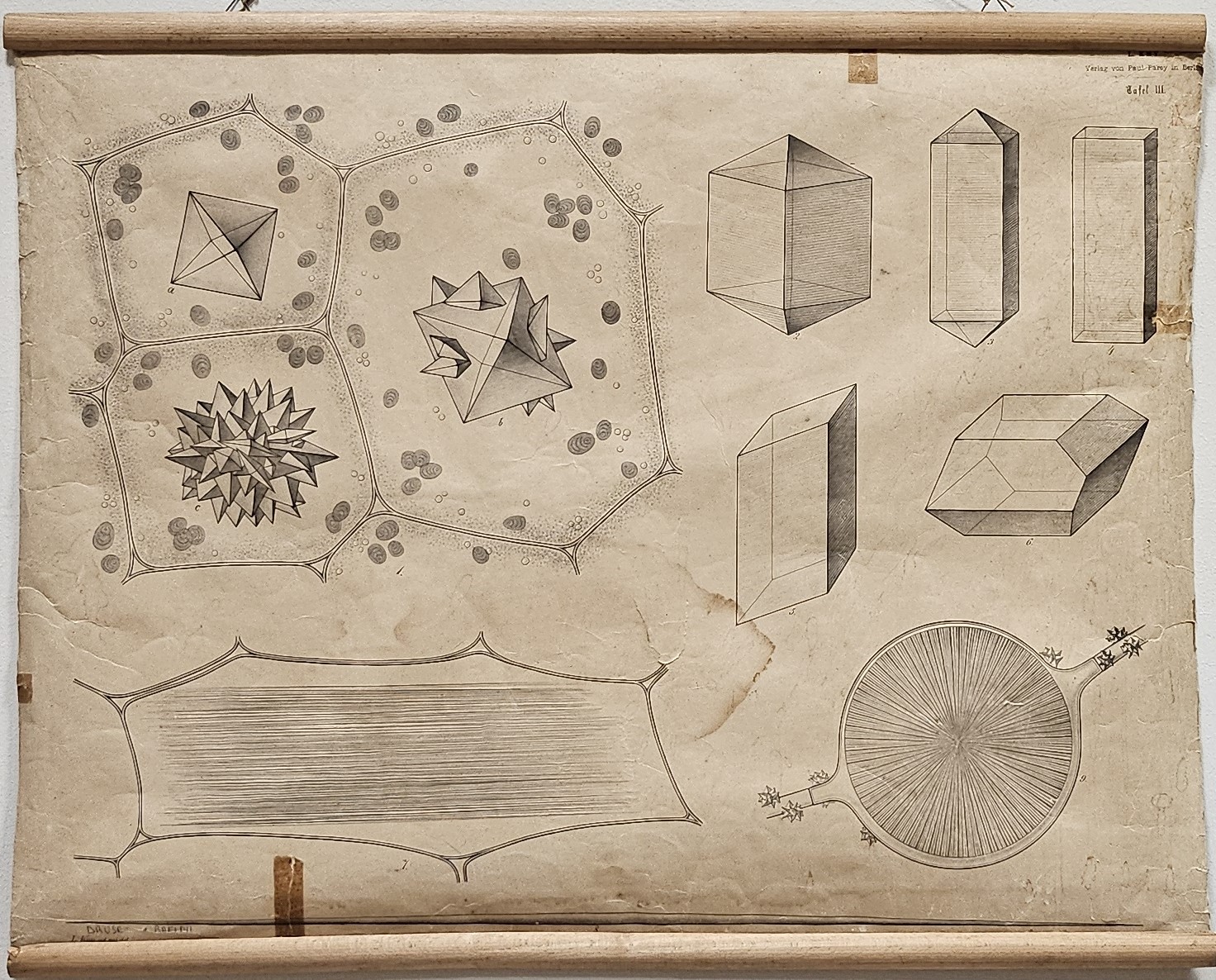 tavola parietale didattica, le più importanti forme cristalline della calce ossalica di Kny, Carl Ignaz Leopold, Parey, Paul, Meyn, W. A - manifattura tedesca (fine/ inizio XIX - XX)