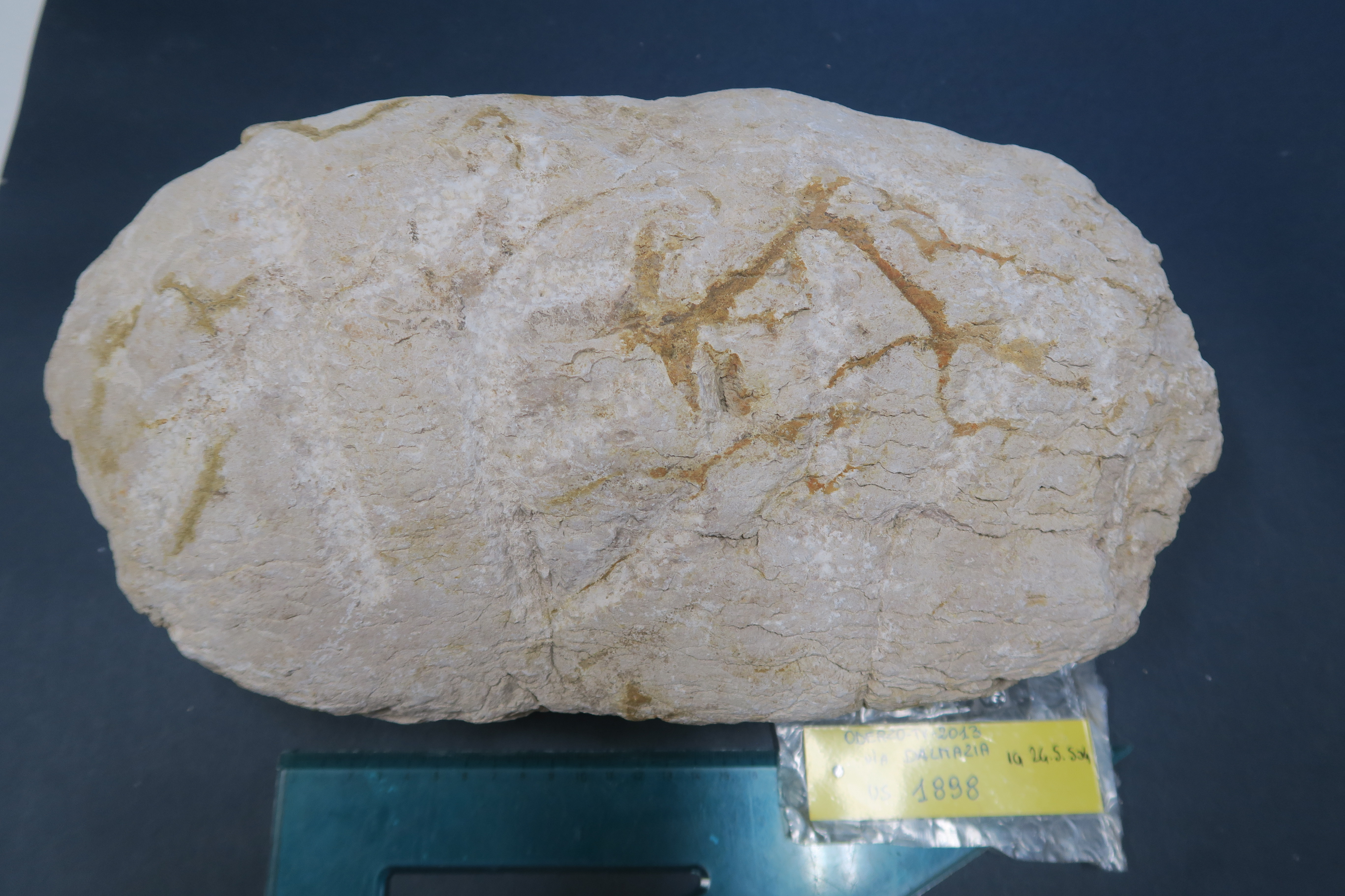 SINGOLO OGGETTO/ cippo, SECOLI/ ARCHI DI SECOLI/ II-I sec. a.C