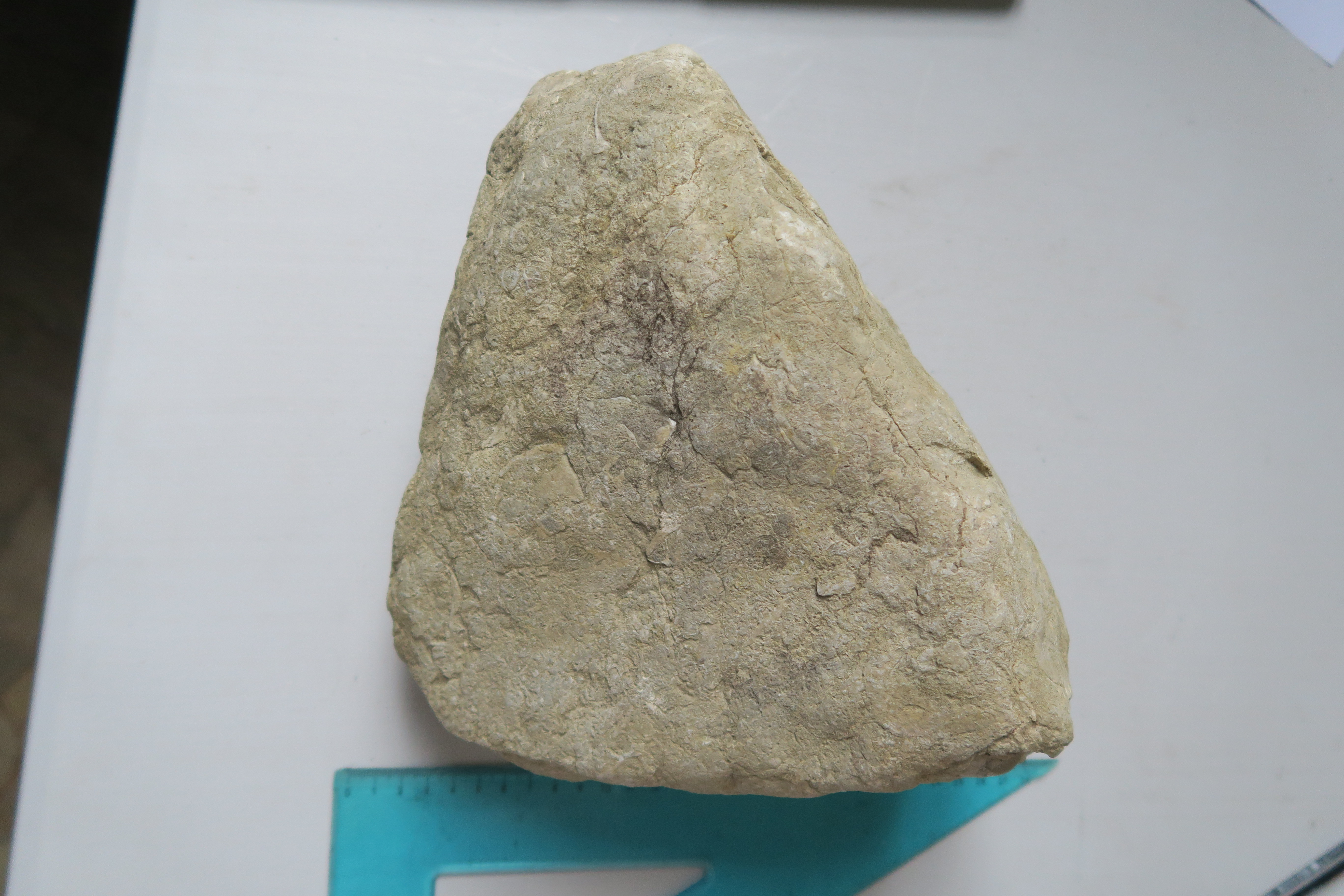 SINGOLO OGGETTO/ cippo, SECOLI/ ARCHI DI SECOLI/ II-I sec. a.C