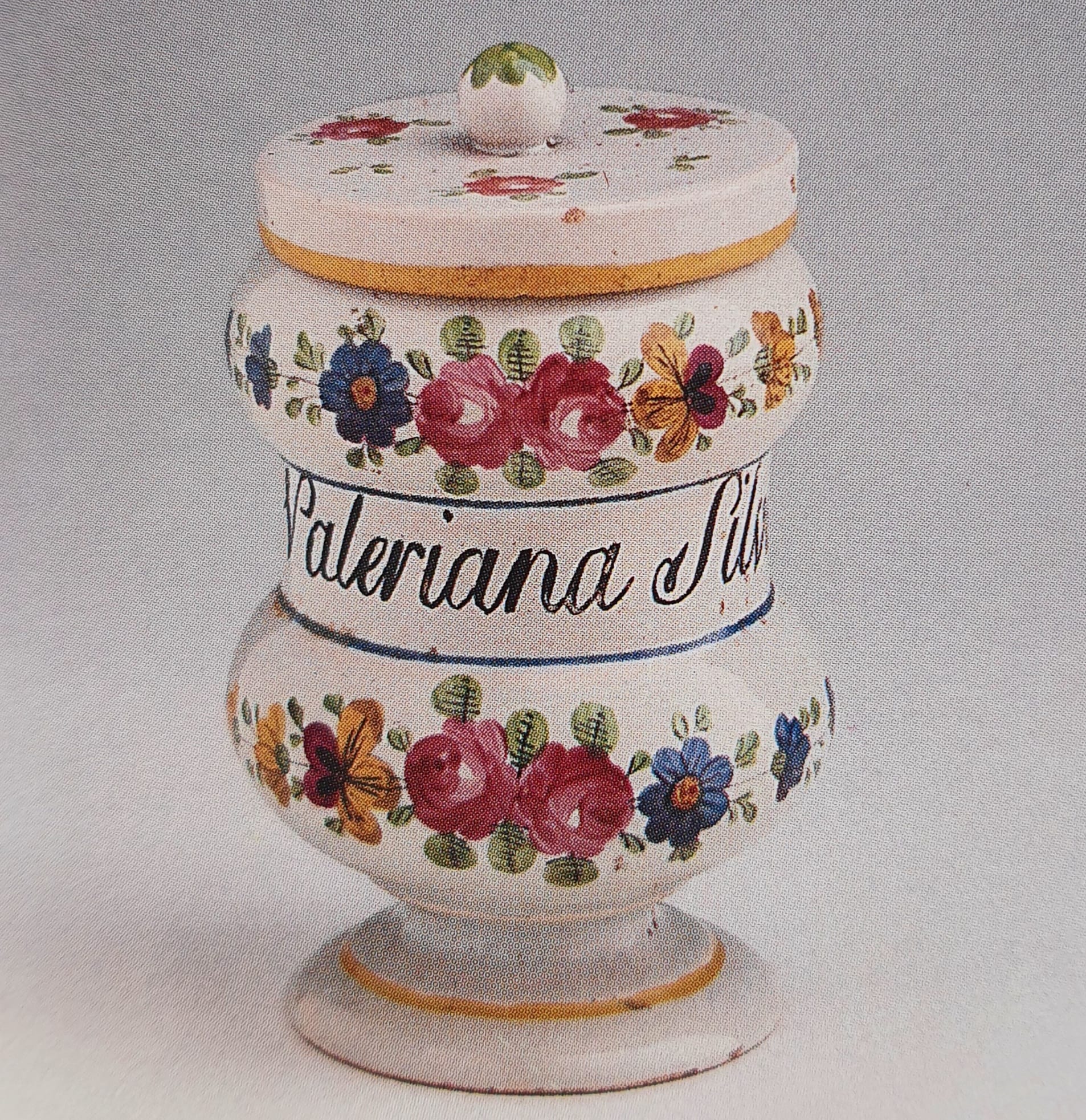 vaso - da farmacia di Manifattura Antonibon, Nove, periodo Baccin (bottega) - manifattura novese (XVIII)