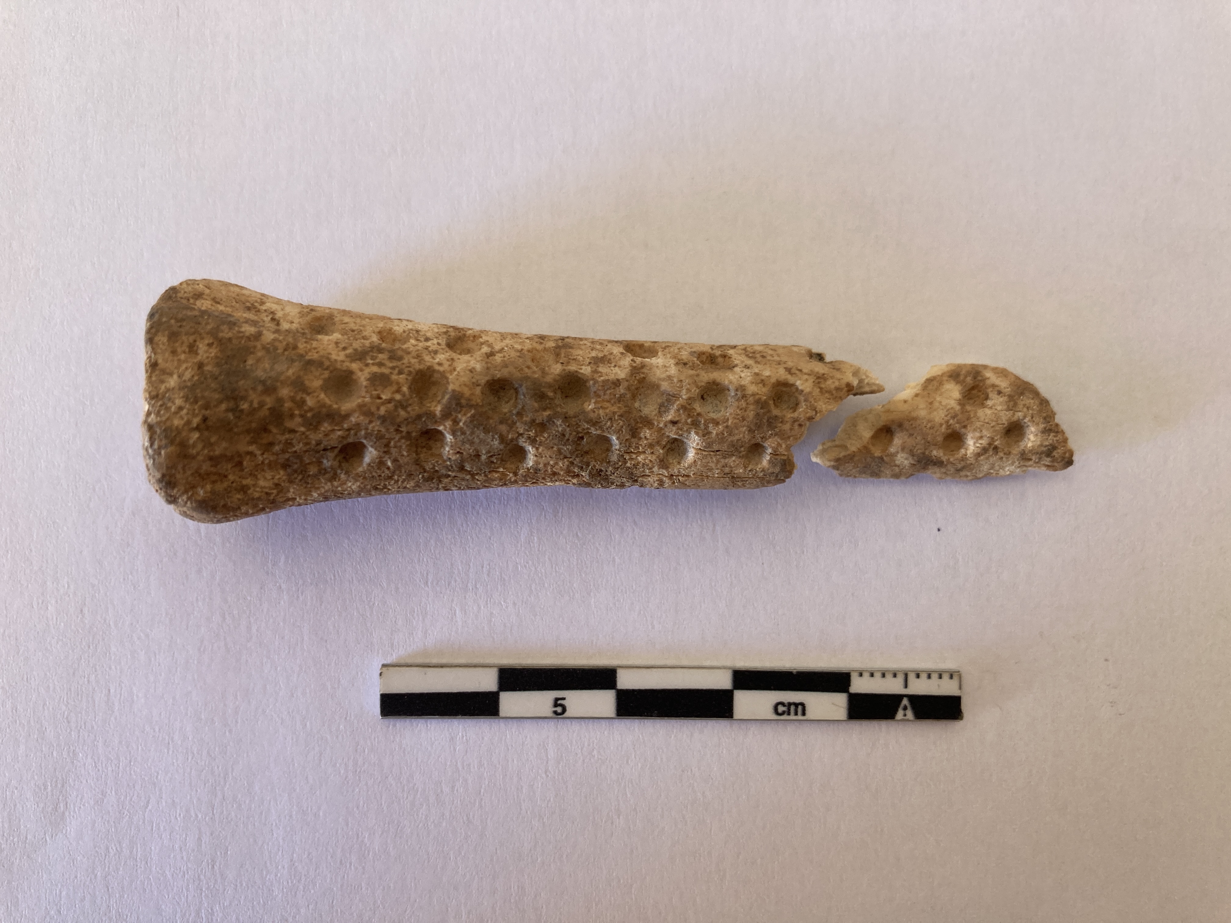 SINGOLO OGGETTO/ oggetto non identificato, PERIODIZZAZIONI/ STORIA/ Età antica/ Età romana